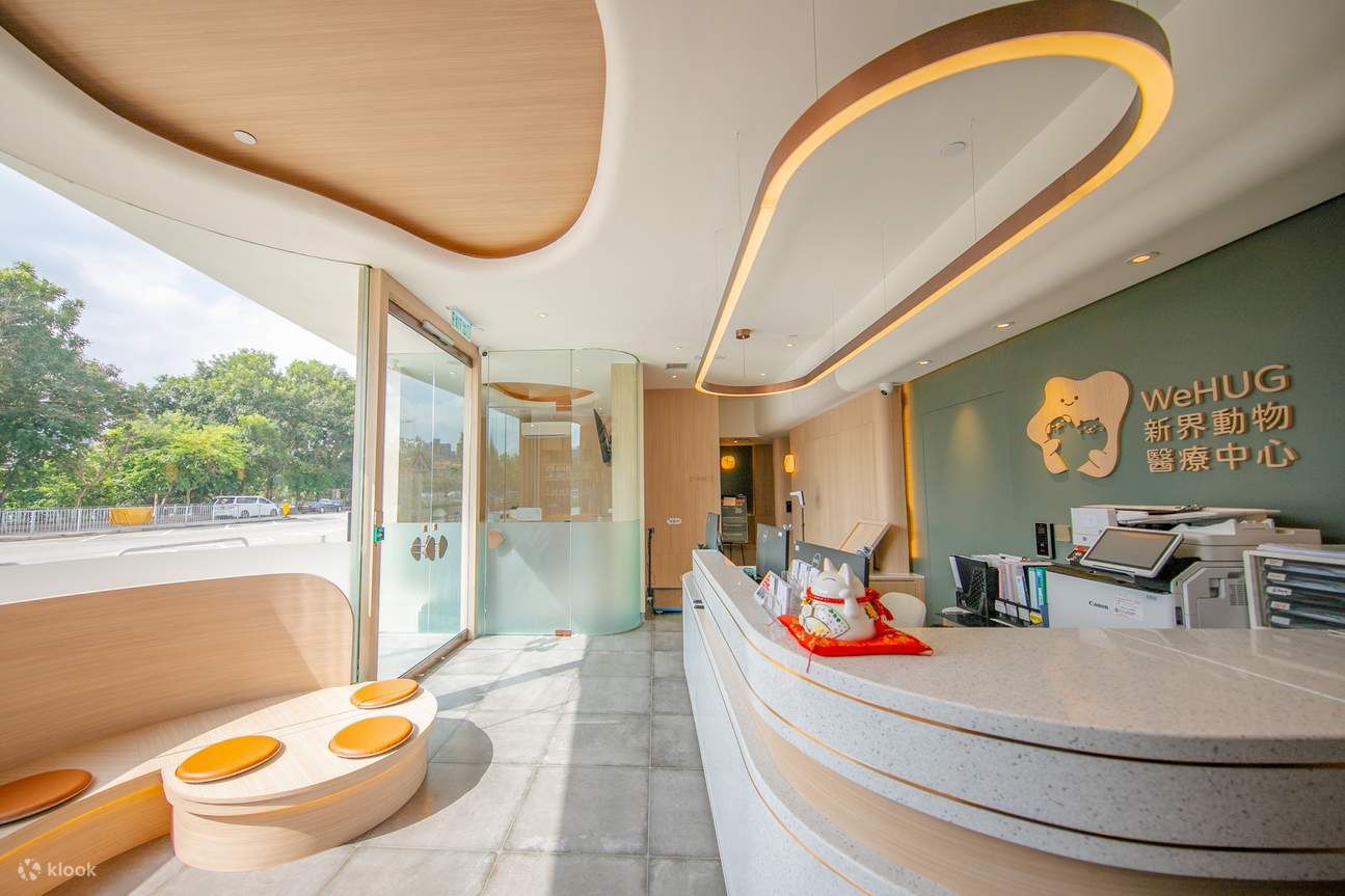 Lobby waiting area (dog)